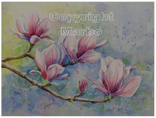 Tulpenboom (magnolia)