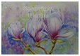 Tulpenboom (magnolia) 02 - 1 - Thumbnail