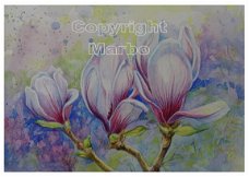 Tulpenboom (magnolia) 02
