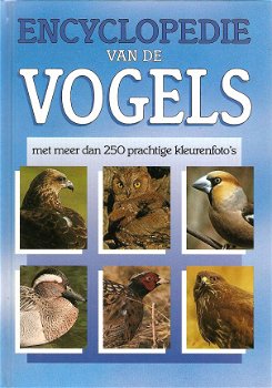 Encyclopedie van Vogels - 1