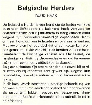 Belgische herdershonden - 2