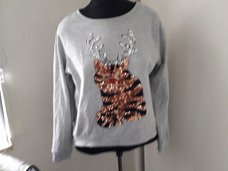 Mooie grijze sweater/shirt met glitter kerstpoes H&M mt M