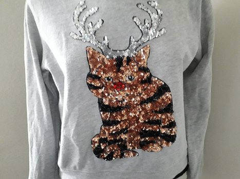 Mooie grijze sweater/shirt met glitter kerstpoes H&M mt M - 2
