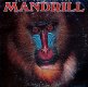 Mandrill - Beast from the east - 1 - Thumbnail