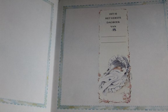 Baby dagboek - Afbeelding 2