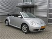 Volkswagen New Beetle Cabriolet - 1.6 (10 x beetle c. op voorraad) Highline - 1 - Thumbnail