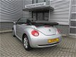 Volkswagen New Beetle Cabriolet - 1.6 (10 x beetle c. op voorraad) Highline - 1 - Thumbnail