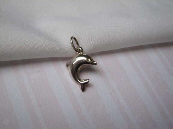 Zilveren kettinghanger bedel dolfijn 1.4x1.9 cm - Afbeelding 5