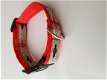 Zachte Cushioned Webbing halsband. - 1 - Thumbnail