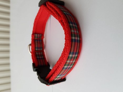 Zachte Cushioned Webbing halsband. - 1