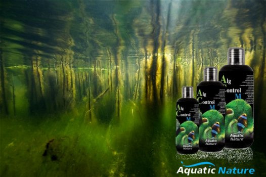 AN-08091: Aquatic Nature Alg Control M 300ml - 2