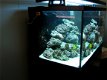 RED-40141: Red Sea Max S-Serie 400 Zwart aquarium + meubel - 6 - Thumbnail