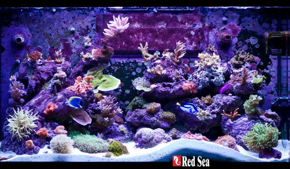 RED-40141: Red Sea Max S-Serie 400 Zwart aquarium + meubel - 7