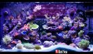 RED-40141: Red Sea Max S-Serie 400 Zwart aquarium + meubel - 7 - Thumbnail