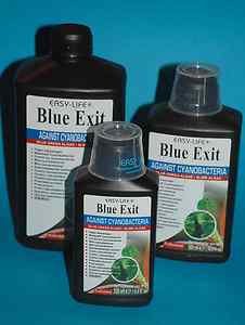 Blueexit-1000: Easy Life Blue Exit 1000ml - 3