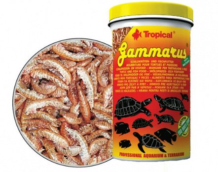 TRR-003: Tropical Gammarus 600ml - 1