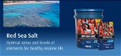 RED-11020: Red Sea Salt 2 kg - 5 - Thumbnail
