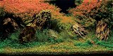 AN-09109: Aquatic Nature Foto Achterwand Inferno 60 x 40 - 1 - Thumbnail