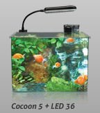 AN-02315: Aquatic Nature Cocoon 5 LED (21.5L) - 1