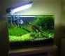 AN-02315: Aquatic Nature Cocoon 5 LED (21.5L) - 3 - Thumbnail