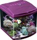 AN-02290: Aquatic Nature Evolution Purple - 1 - Thumbnail