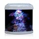 AN-02290: Aquatic Nature Evolution Purple - 7 - Thumbnail