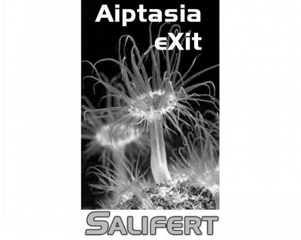 SA-3075: Salifert Aiptasia Exit - 4