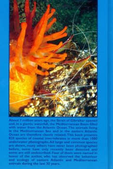 DB-2002: Mediterranean & Atlantic Invertebrate Guide - 2