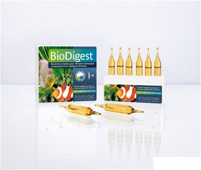 DIB-10: Prodibio Bio Digest 6 ampullen - 1