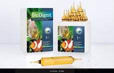 DIB-1413: Prodibio Bio Digest Pro 10 ampullen