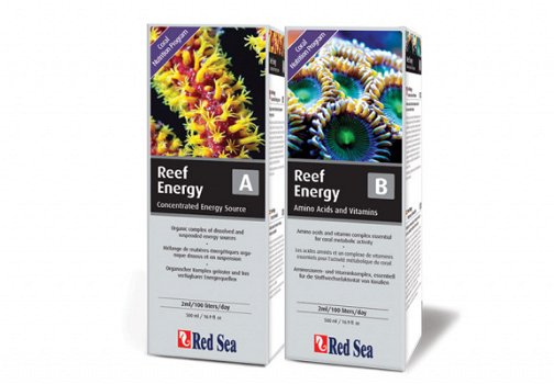 RED-22093: Red Sea Reef Energy B 500ml - 4