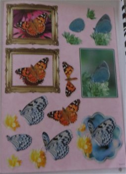 3D BOEK --- FLORA en FAUNA --- A4SLBOEK 43 - 3