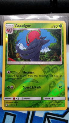 Accelgor  9/111  Uncommon (reverse) Sun & Moon Crimson Invasion