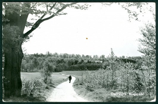 DOORWERTH Bosgezicht (Arnhem 1981) - 1