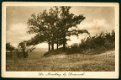 DOORWERTH De Noordberg (Oosterbeek 1927) - 1 - Thumbnail