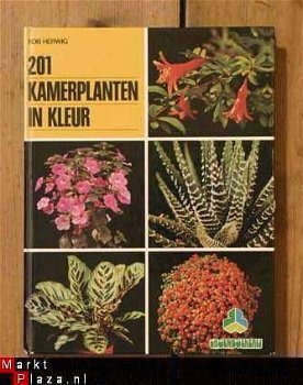 Rob Herwig - 201 kamerplanten in kleur - 1