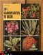 Rob Herwig - 201 kamerplanten in kleur - 1 - Thumbnail