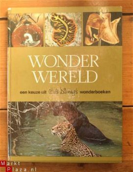 Wonder wereld - 1
