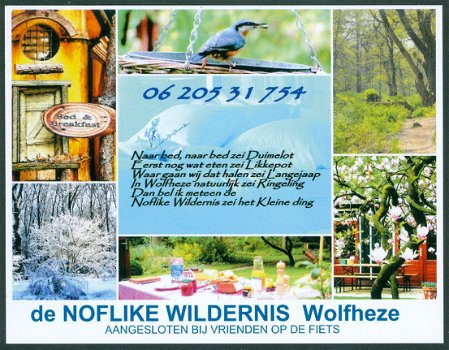 GLD WOLFHEZE De Noflike Wildernis - 1