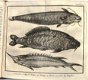 Salmon 1736-7 Tegenwoordigen Staat van ‘t Duitsche Keizerryk - 1 - Thumbnail