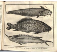 Salmon 1736-7 Tegenwoordigen Staat van ‘t Duitsche Keizerryk