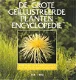 De grote geïllustreerde plantenencyclopedie - 0 - Thumbnail