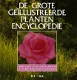 De grote geïllustreerde plantenencyclopedie - 1 - Thumbnail