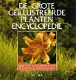 De grote geïllustreerde plantenencyclopedie - 2 - Thumbnail