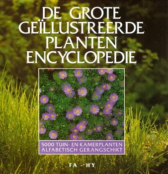 De grote geïllustreerde plantenencyclopedie - 3