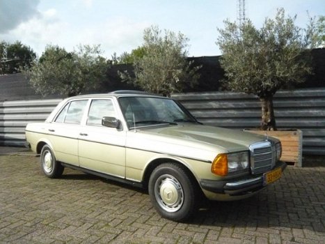 Mercedes-Benz 240 - 1