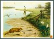 M A KOEKKOEK Aan de rivier, Actie Kinderpostzegels - 1 - Thumbnail