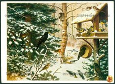 M A KOEKKOEK Vogels in de winter, Actie Kinderpostzegels (Groningen 1988)