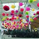 Pompom, papieren bollen, pompoms, feestdecoratie, tissue bol, lampion - 2 - Thumbnail