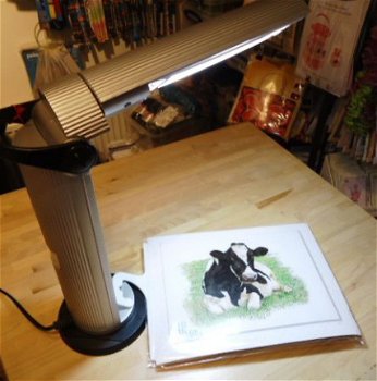 AANBIEDING HANDIGE INKLAPBARE HOBBYLAMP - 2